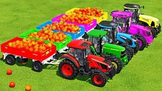 LOAD ORANGES & TRANSPORT BATTLE WITH ZETOR, JOHN DEERE, MCCORMICK & LANDINI TRACTORS - FS22