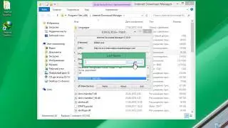 Internet Download Manager 6.31 Build 7 + бесплатный ключ [Программа для скачивания]