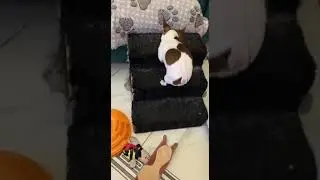 Цветочная девочка.