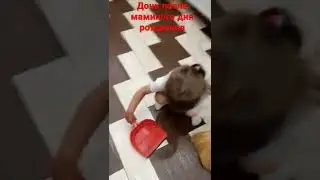 давайте просто поставим лайк