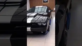 2011 Dodge Challenger 6.4 HEMI V8 Detailing
