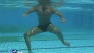Fundamento: Pernada