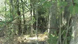 cheraw documentary