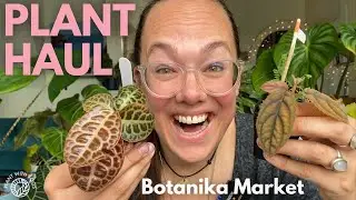 Wishlist Plant Haul! What I got at Botanika Hamm rare plant market | Plant with Roos