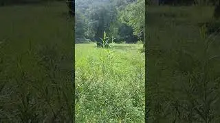 улица красная поляна горная зона