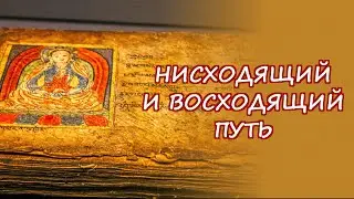 Нисходящий и восходящий путь