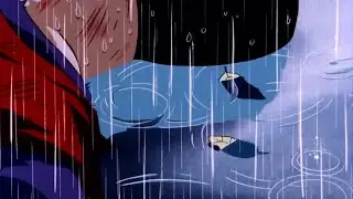 Trunks…