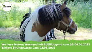 We Love Nature Weekend mit BUNDJugend vom 02-04.06.2023/ Tag 2