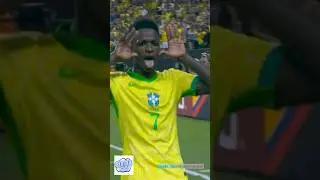 Copa America einfach zu WILD 🤯