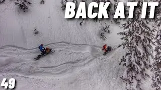 In To The Toilet Bowl