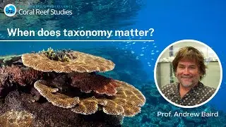 When does taxonomy matter? A seminar by Prof. Andrew Baird
