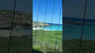 Rottnest Island, Western Australia #shorts