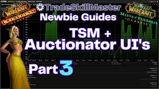 TradeSkillMaster & Auctionator UI Overview | Beginner Guide Classic & Retail WoW Part 3