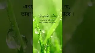 সূরা আজ জারিয়াত 56 58