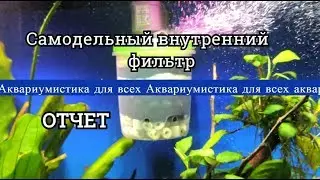 Самодельный внутренний фильтр. Фильтр для аквариума своими руками.  Отчет