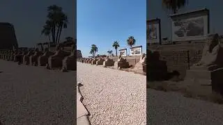 Avenue of Sphinxes Luxor temple Egypt