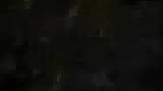Kite Amv Fuck off