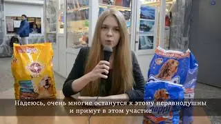 Открытие благотворительной акции в приют для животных