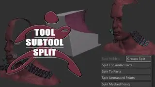【ZBrush 2022】【memo】tool : subtool | split