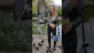 Горпарк
