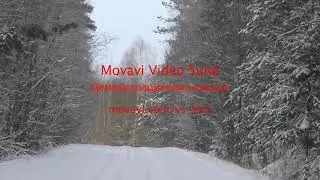белорусский гончак