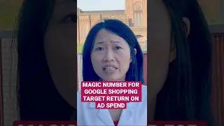 What's the ideal target return on ad spend for your google shopping campaign? 
