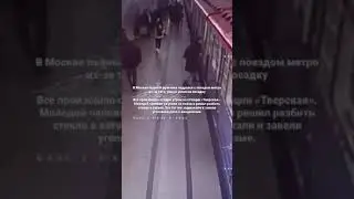В Москве пьяный мужчина подрался с поездом метро из-за того, что не успел на посадку.