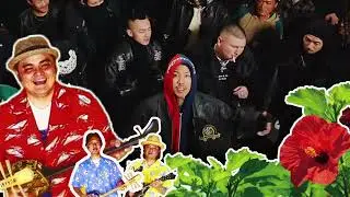 島人ぬ友達