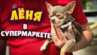 Lenya in the supermarket