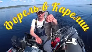 В поисках беглянки.ФОРЕЛЬ в КАРЕЛИИ!