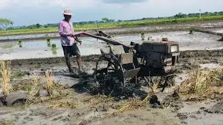 JOKI TRAKTOR TERTAWA BERSEMANGAT MEMBAJAK DAN MENANAM PADI  #tractor