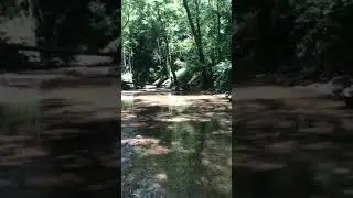 Finding that GORGEOUS “BIRDPOINT”!  Right here in Kentucky
