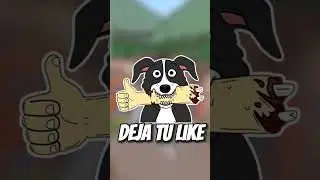 Mr pickles Momento Más Bonito 😍