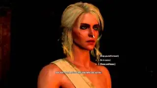 Witcher 3 Useless Bug Exploit: The Calm Before the Storm