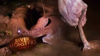 Does a Stingray Spine Stay Embedded After Impaling Its Victim? | STINGRAY | River Monsters