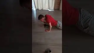 Физ