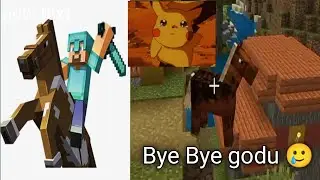 bye bye godu