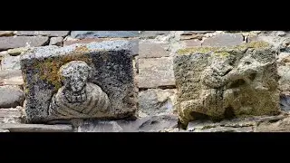 The 