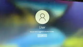 forest and winter scream has bsod