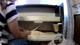 Заселение морской свинки в стеллаж