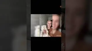 кот Лёша