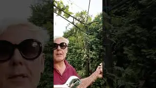 Alert - Der Planet Story (Playback Garten Teaser 1) #guitar #deltablues #firefighter #fire