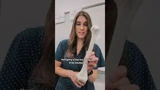 Bone quiz + determining left vs right