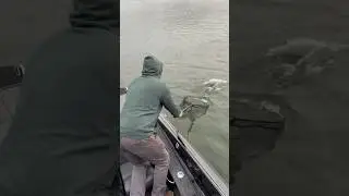 Send this to somebody that nets fish like this 😂😂😂 #bass #fishing #getthenet