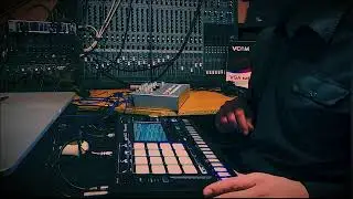 Toraiz sp16+Xoxbox