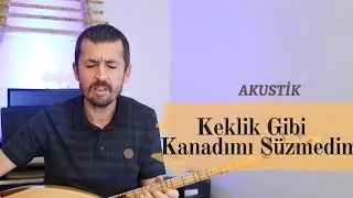 Keklik Gibi Kanadımı Süzmedim - Bahadır Çatalyürek