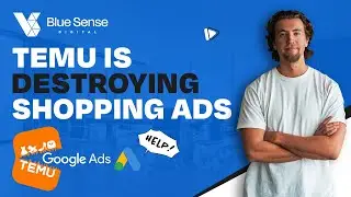 Temu's Takeover of Google Shopping Ads