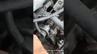 Gas Smell Engine Bay #shorts #gas #smell #fuelleak #cartips #carhacks #automotive #mrbundre