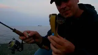 Ставрида 20 мая 20г