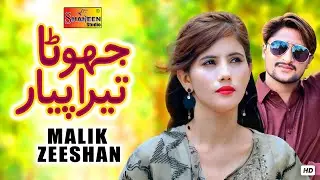 Jhoota Tera Pyar | Malik Zeeshan | ( Official Video ) | Shaheen Studio
